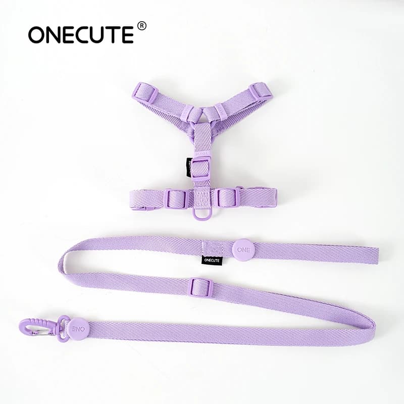 Harnais pour chien, collier pour chien, laisse pour chien, couleur Macarone, accessoires pour chat, 
