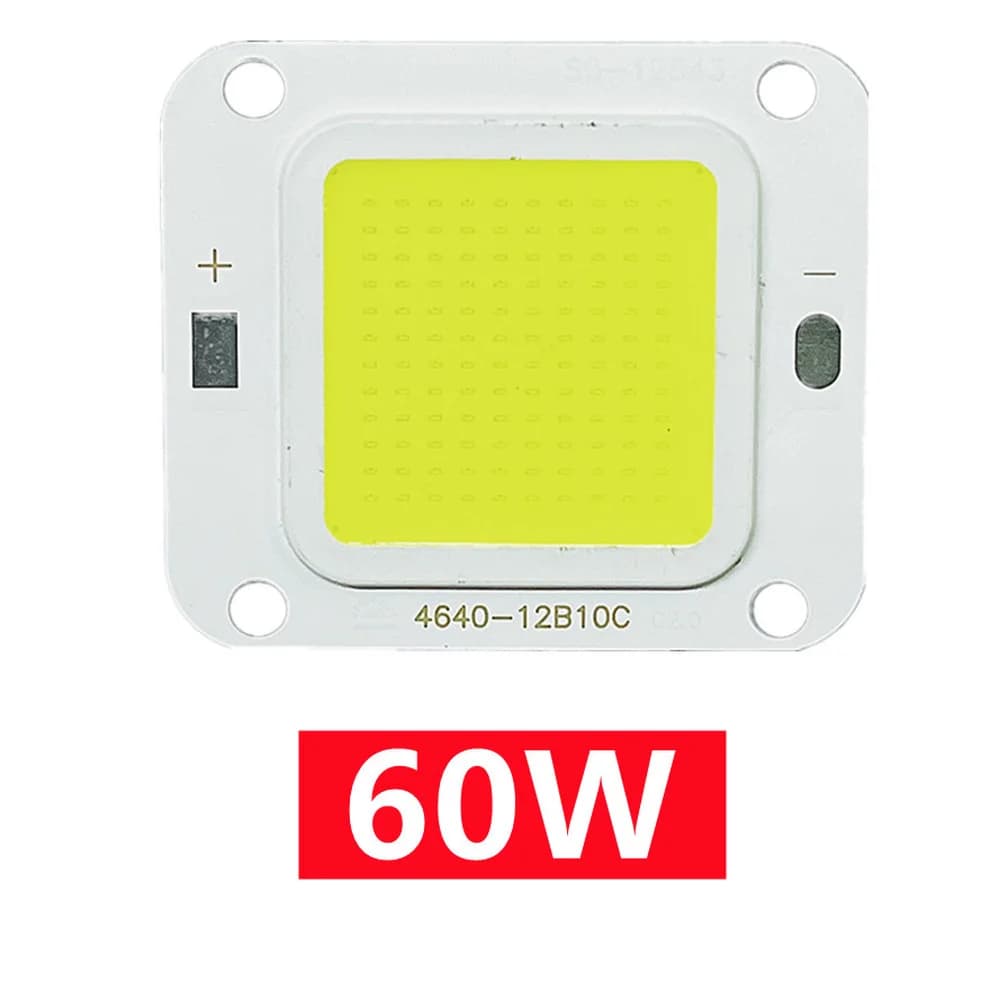Puce LED COB 40W 20W 10W Super puissance 70W 60W 50W pour bricolage projecteur ampoules Diode LED pl
