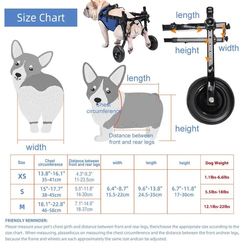 Chariot pour animaux de compagnie, jambe arrière réglable, aide à la mobilité pour chien handicapé, 