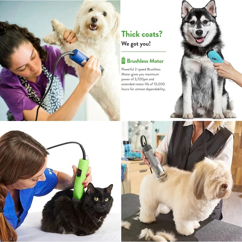 Tondeuses de toilettage pour animaux de compagnie, poignées pour chiens et chats, lame en céramique 
