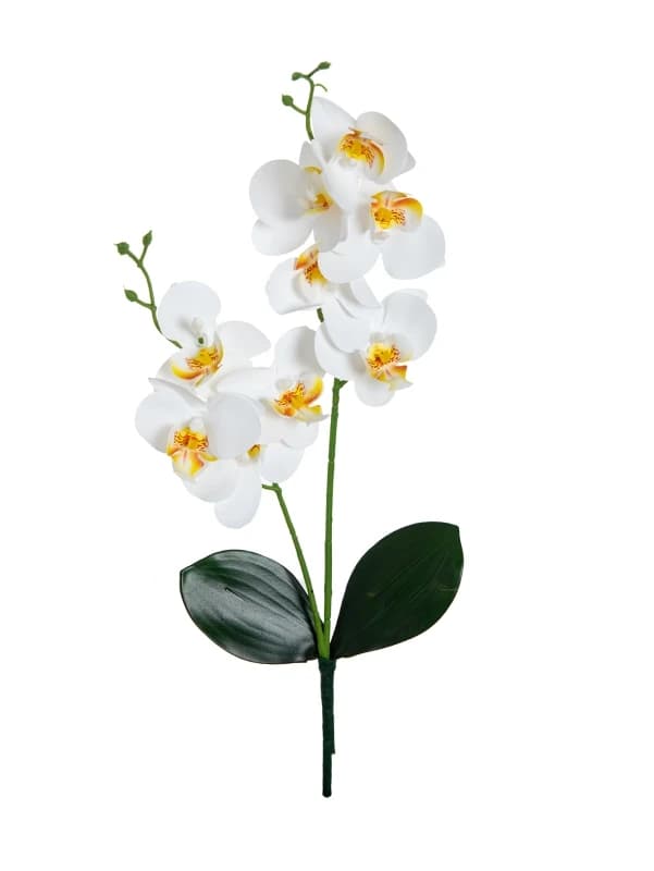 Fleurs artificielles 2 orchidées papillon fourchues, Vase pour chambre à coucher, décor de Table, ma