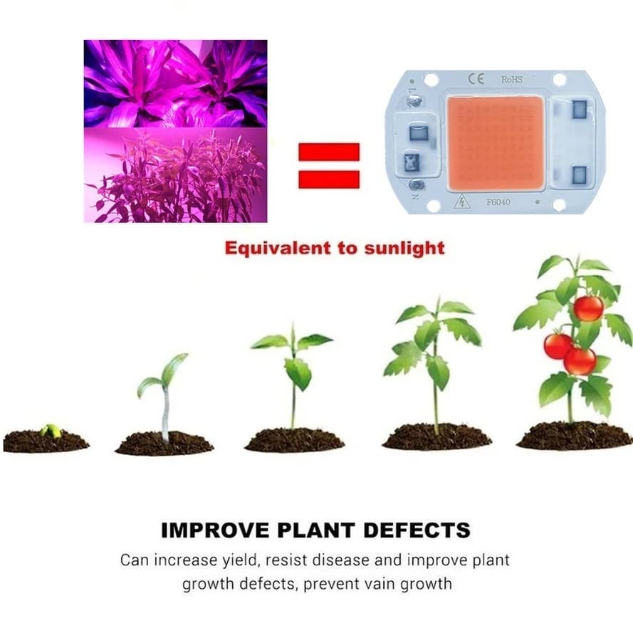 LED élèvent la puce COB Phyto lampe spectre complet 110 V/220 V 20 W 30 W 50 W pour la culture de se