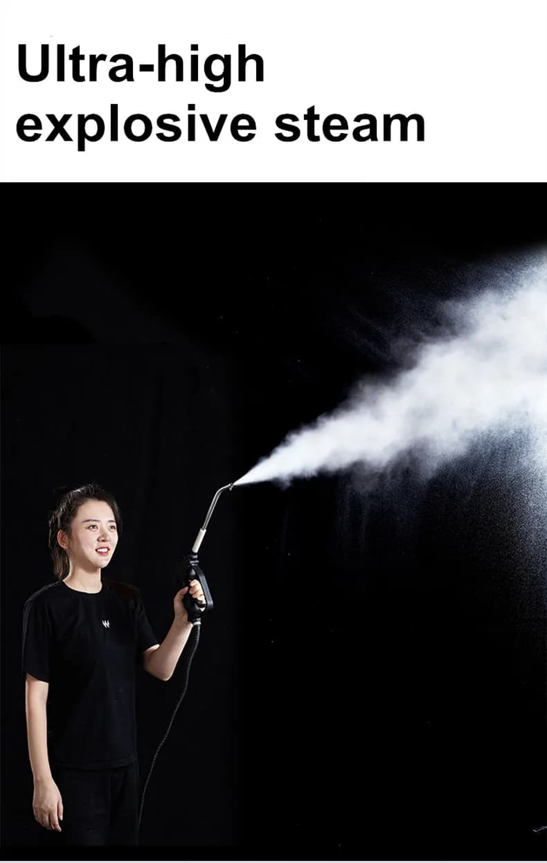 Nettoyeur à vapeur électrique domestique 220V, nettoyeur à vapeur multi-fates, haute température et 