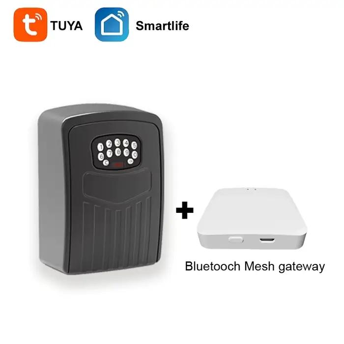 Tuya – boîtes de sécurité pour clés Bluetooth, déverrouillage à distance, mot de passe, vie intellig