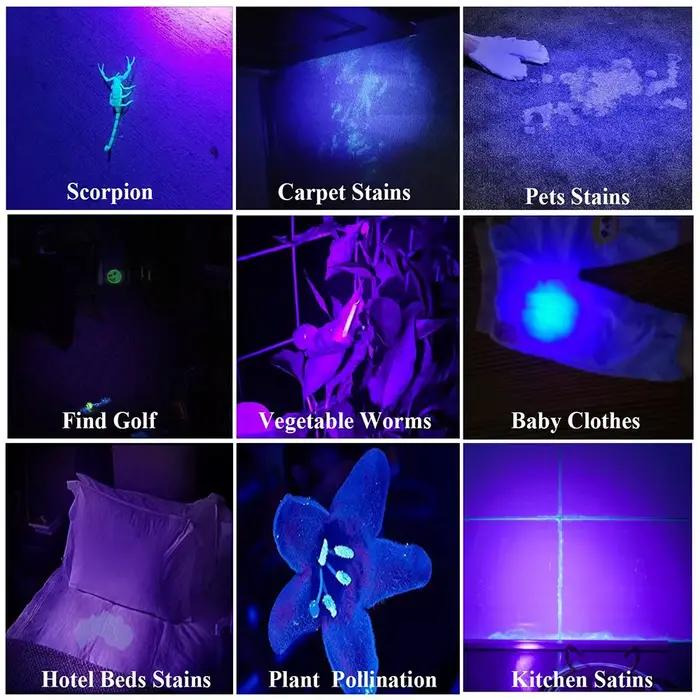 Mini lampe de poche UV 365nm 395NM lumière noire ultraviolette USB Rechargeable violet Linternas tap