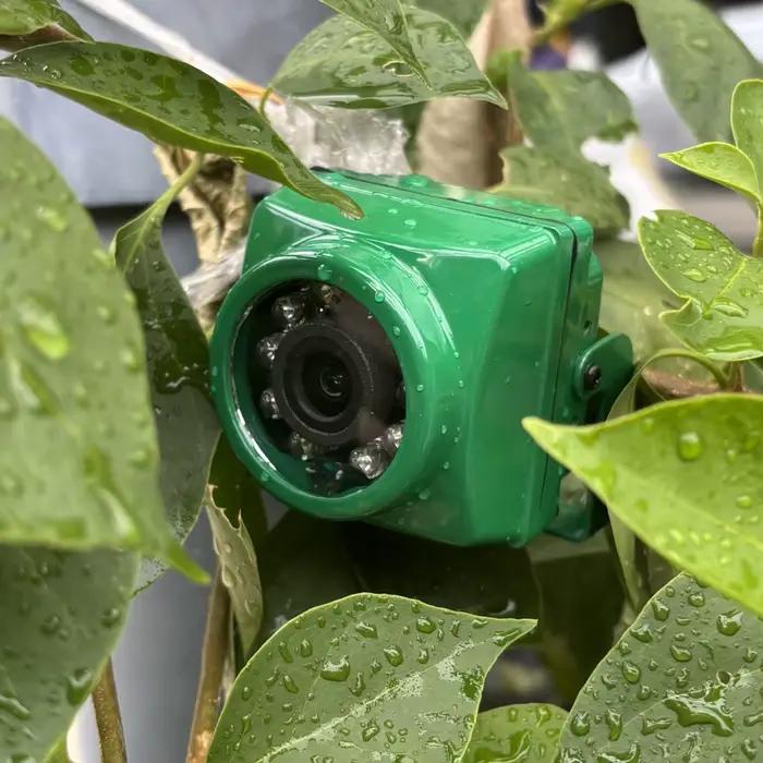 Mini caméra extérieure ICSEE 4K IPC IP67 étanche 3/4/5/8MP