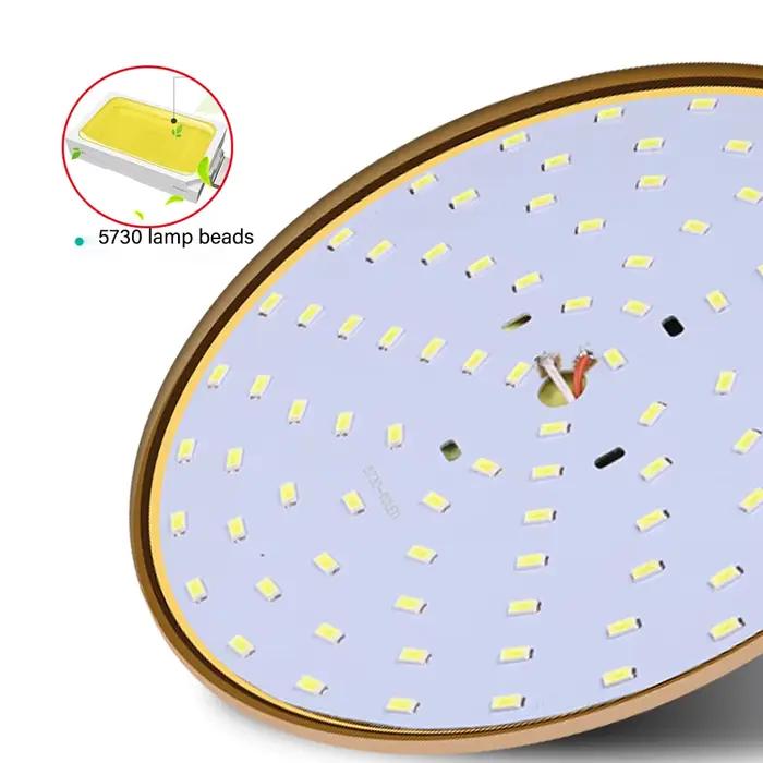 Ampoule LED à économie d'énergie domestique