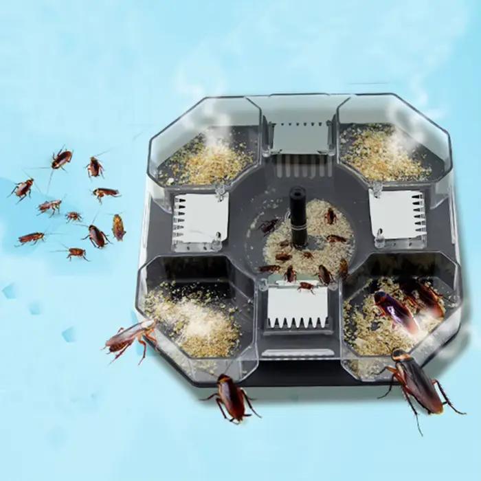 Piège réutilisable anti-cafards et insectes domestiques