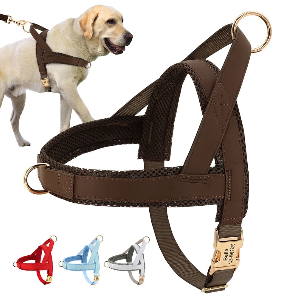 Harnais pour chien personnalisé sans traction, gilet d'entraînement de marche réglable pour animaux