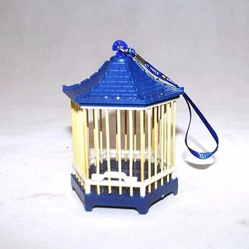 Maison de Cage à insectes pour sauterelle et Cricket, petite boîte-cadeau Simple, fournitures pour a