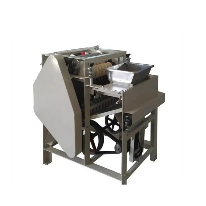 Machine professionnelle électrique automatique personnalisée d'épluchage humide de graines d'amande