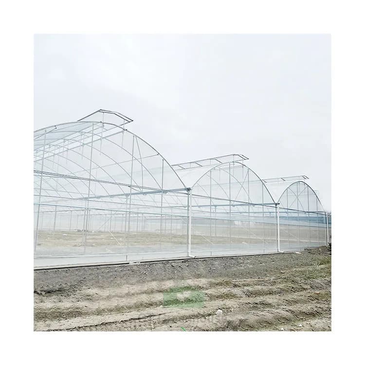 Serre en plastique multi-voûtes de grande taille pour l'agriculture commerciale, cadre en métal, ser