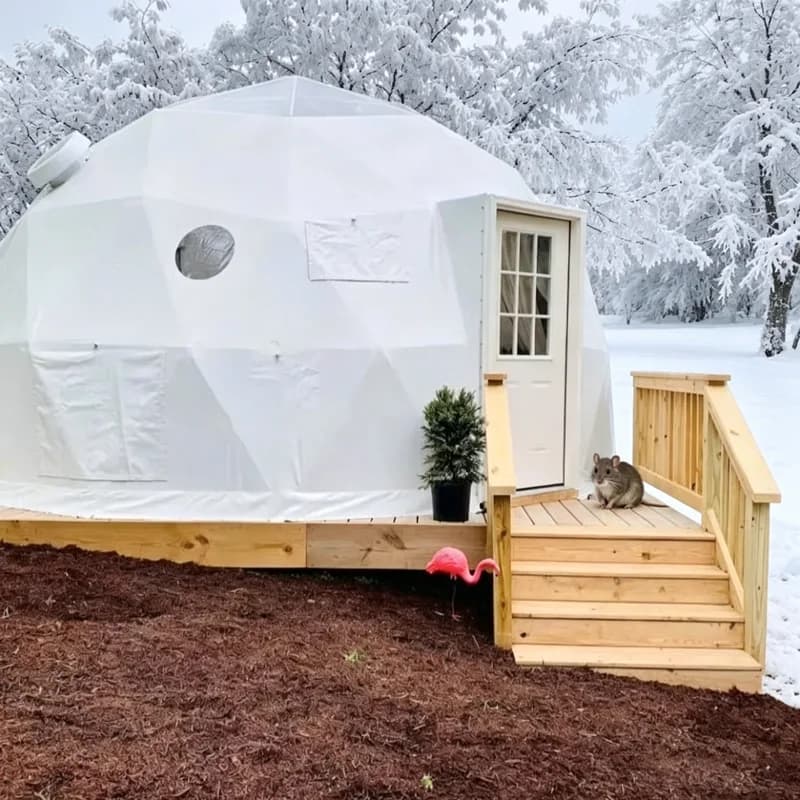 Tente de camping en forme de dôme en verre avec verre trempé hexagonal et panneaux solides pour le g