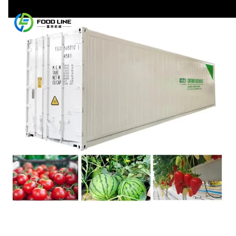 Conteneur d'expédition personnalisé pour ferme verticale, culture hydroponique, usine de fourrage, s