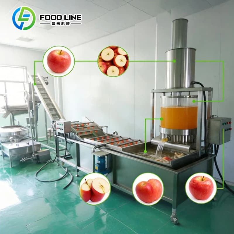Ligne de production de jus de fruits concentrés à petite échelle, ligne complète de traitement de bo