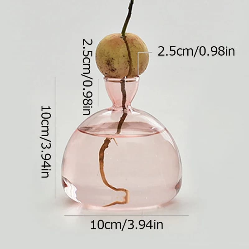 Vase hydroponique en verre Transparent, noyau d'avocat, récipient en verre pour culture de graines,