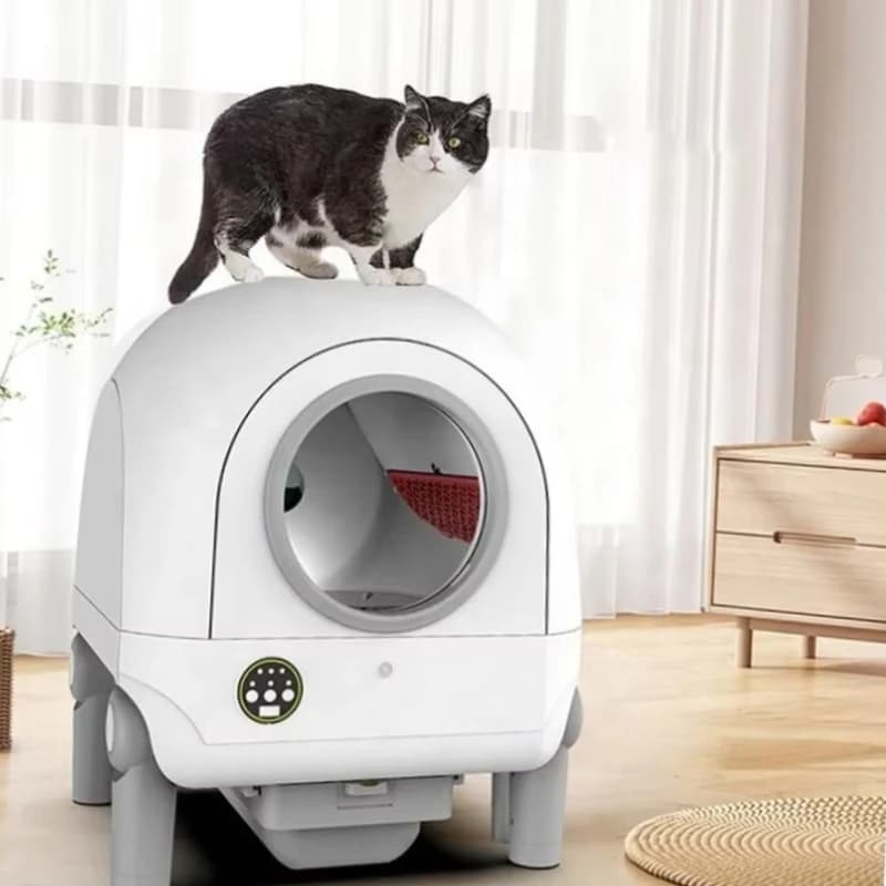 Bac à litière automatique intelligent pour chat, contrôle par application, fonction d'auto-nettoyage