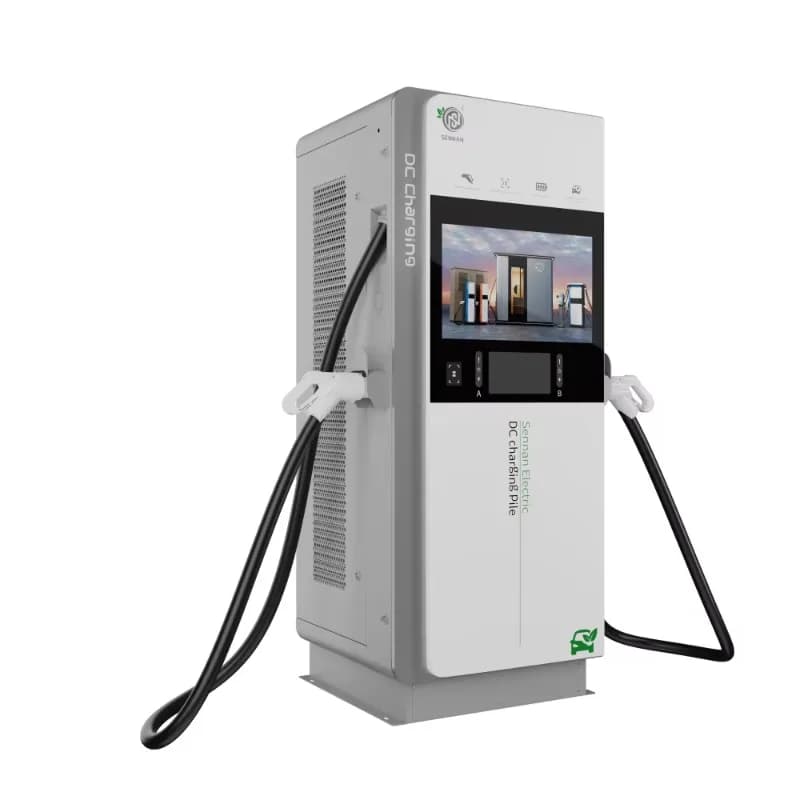 Chargeur de voiture personnalisé 60KW 80KW 120KW 3 phases, station de recharge rapide pour véhicules
