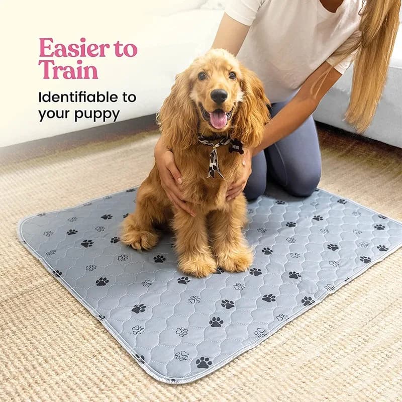 Coussinets d'urine pour chien, lavables et réutilisables, antidérapants, coussin d'entraînement pour