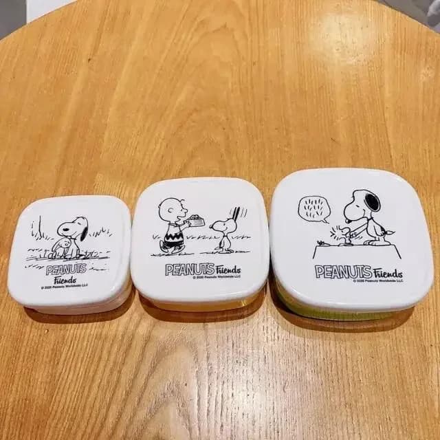 3 pièces/ensemble dessin animé Snoopys Bento boîte enfants Snack fruits Portable boîte à déjeuner ét