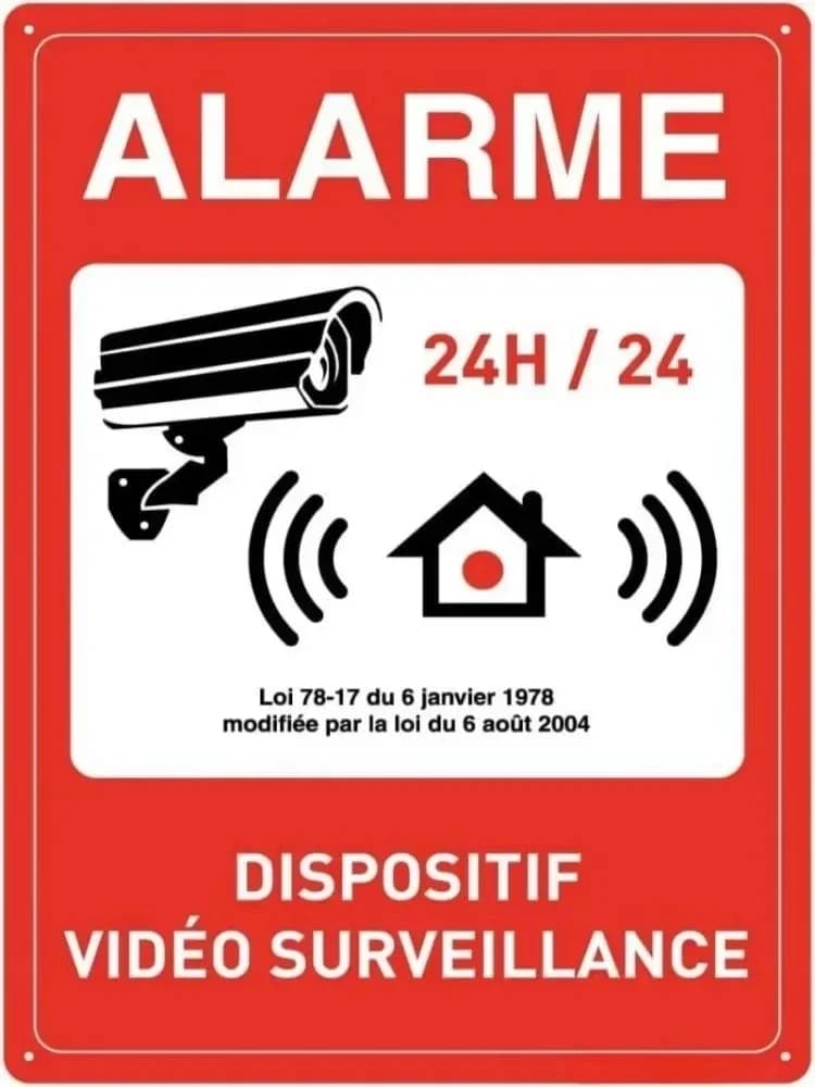 CamVintagePro ™ Vintage - Panneau de caméra de sécurité inspiré | Décoration polyvalente pour la