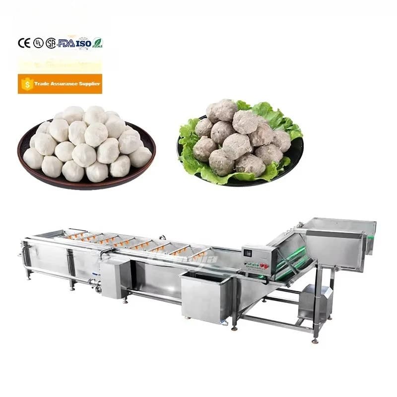 Machine à boulettes de viande et de poisson personnalisée pour la maison, ligne de production de bou