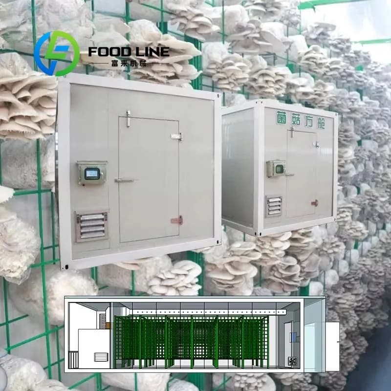 Grande serre agricole intelligente à installation facile, à faible coût, en film plastique, à climat