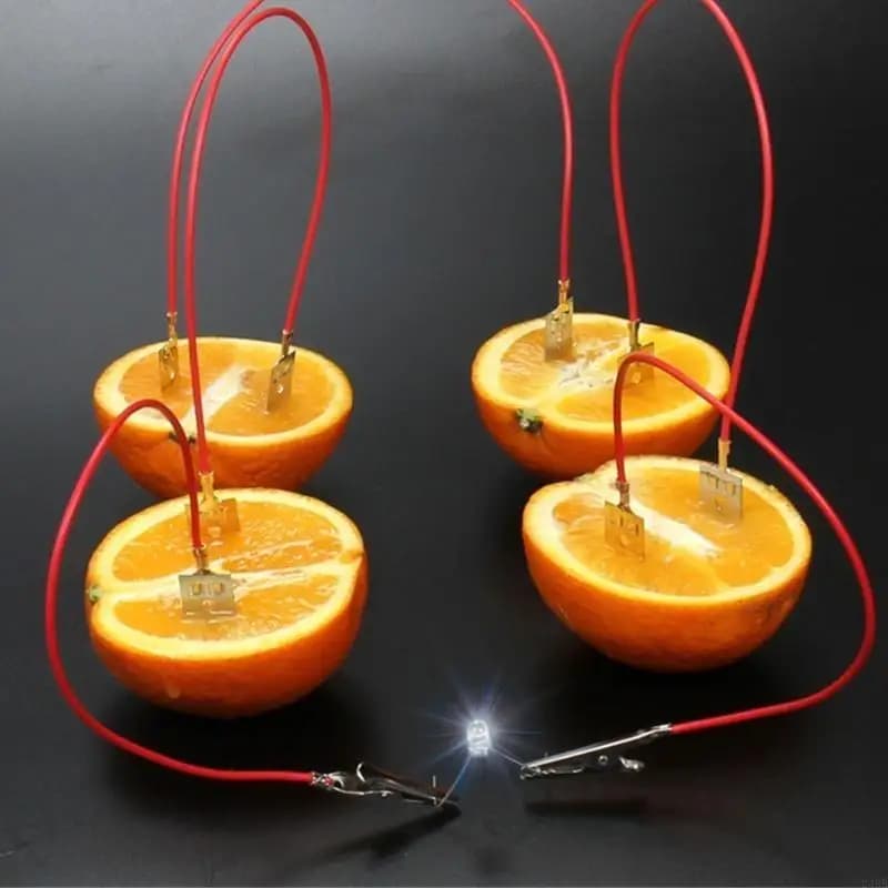 Expérience production d'énergie des fruits a mis main sur l'expérience d'électricité des fruits 24bb