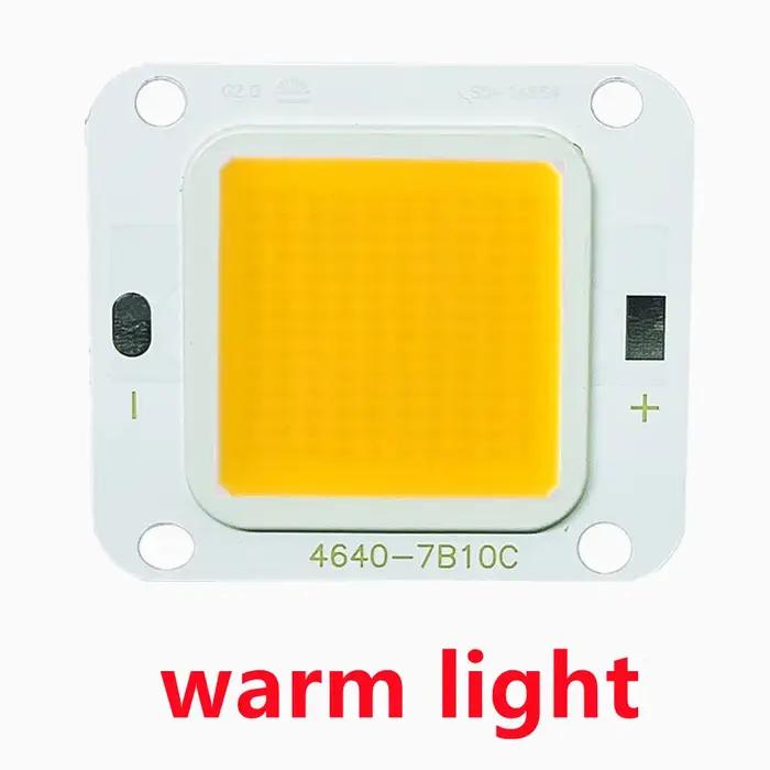 Puce LED COB 40W 20W 10W Super puissance 70W 60W 50W pour bricolage projecteur ampoules Diode LED plafonnier Source