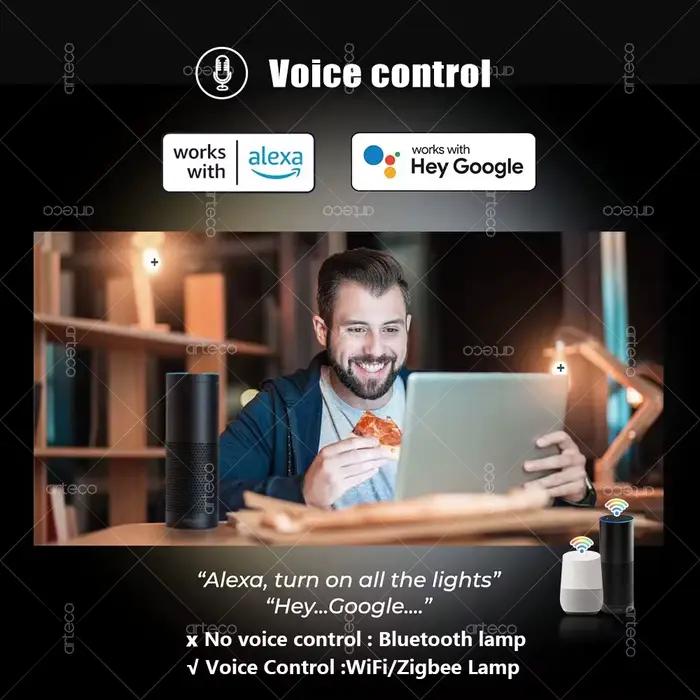Tuya inda-Ampoule LED intelligente à intensité variable E14