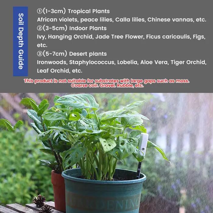 Testeur d'humidité du sol Intelligent
