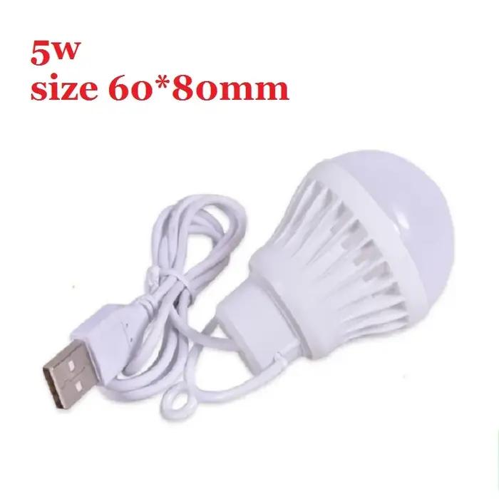Ampoule USB LED DreammingLighting Boule 925 Lumens Blanc Froid Portable Mini Lampes Camping Lecture Bureau Randonnée Jardin Occasions Spéciales