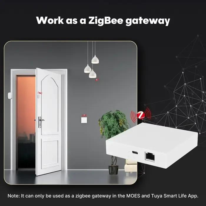 MOES Tuya Zigbee Matter fil passerelle maison intelligente pont Matter Hub prise en charge commande