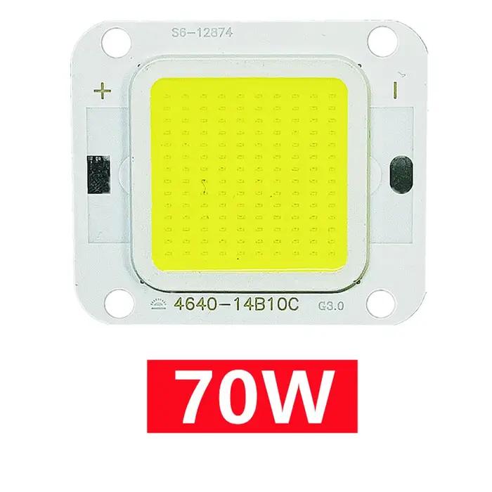 Puce LED COB 40W 20W 10W Super puissance 70W 60W 50W pour bricolage projecteur ampoules Diode LED pl