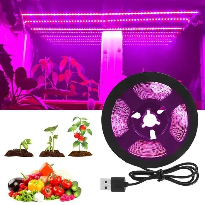 Plante lumière grandir bande LED 5V USB LED 1-5m puce LED à spectre complet pour serre fleur semis cultiver tente hydrop