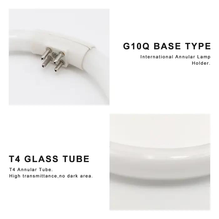 Tubes annulaires T4 fluorescents 10W 12W, lumière tri-phosphore AC 220V, loupe, ampoule circulaire G