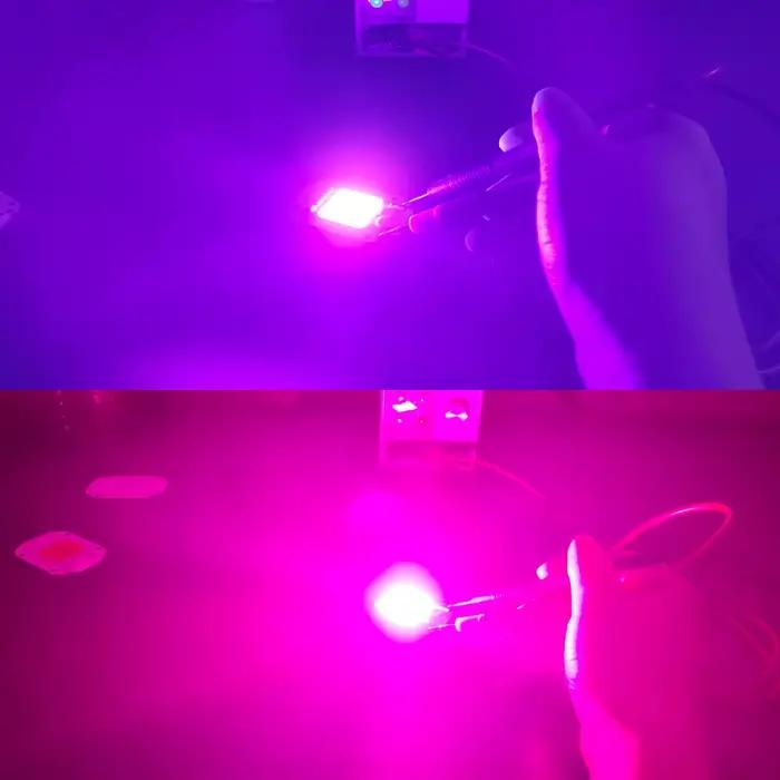Puce LED COB 220V, Module 50W 30W 20W Natura, blanc froid et chaud, UV rose vert or bleu rouge pour