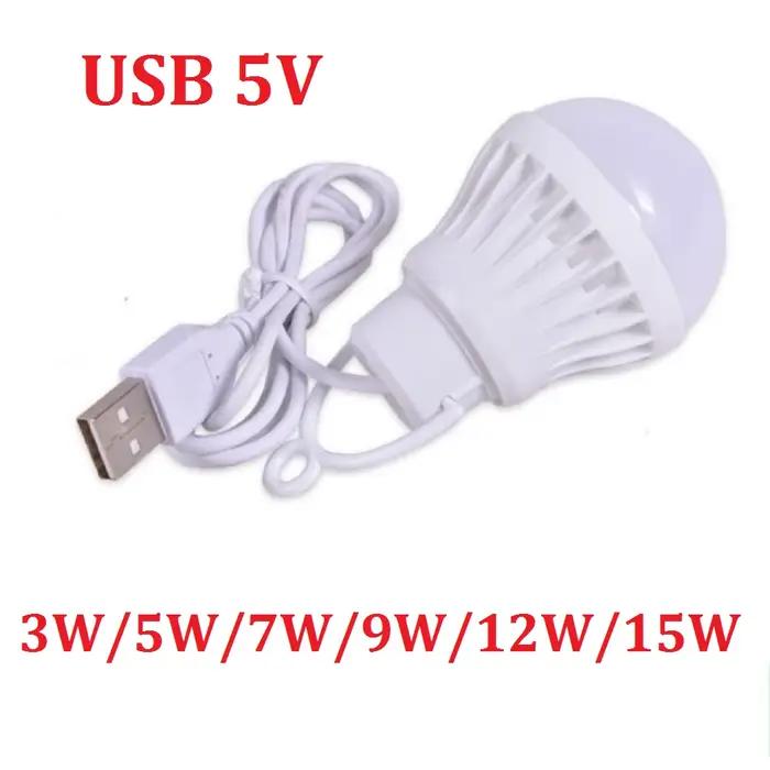 Ampoule USB LED DreammingLighting Boule 925 Lumens Blanc Froid Portable Mini Lampes Camping Lecture Bureau Randonnée Jardin Occasions Spéciales