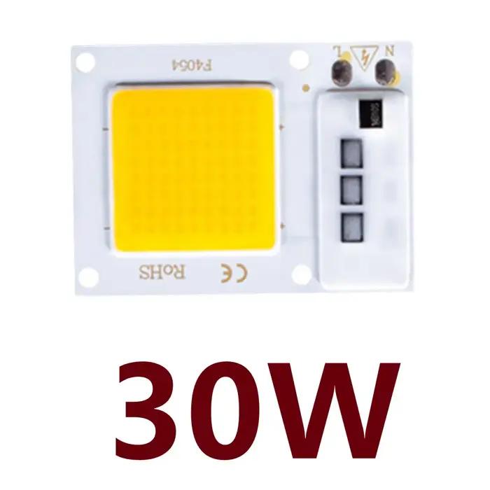 Puce COB LED intelligente IC 10W 20W 30W 50W 220V