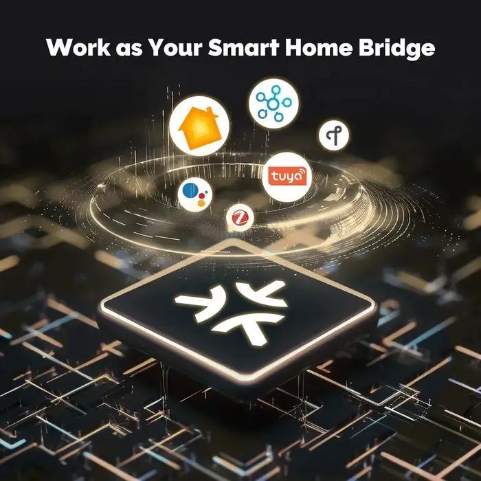 Passerelle Matter, Hub Tuya Zigbee