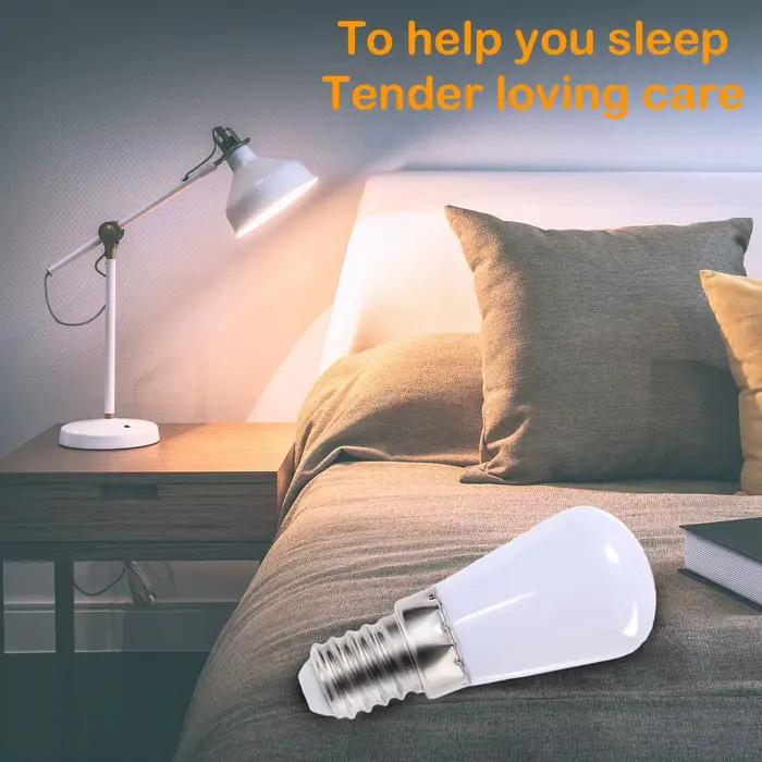 Ampoules LED à globe terrestre pour éclairer votre cuisine, salon, chambre ou armoire de réfrigérateur, idéales pour veilleuses, machine à coudre et ambiance douce