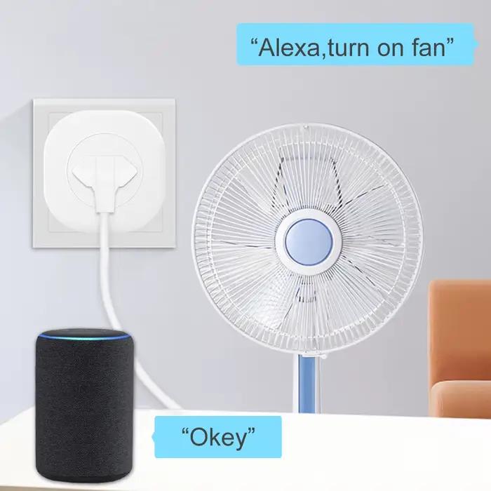 Prise Electrique Intelligente BORUIDAPLS Compatible Alexa Google Home Pour Maison Connectee Occasions Speciales