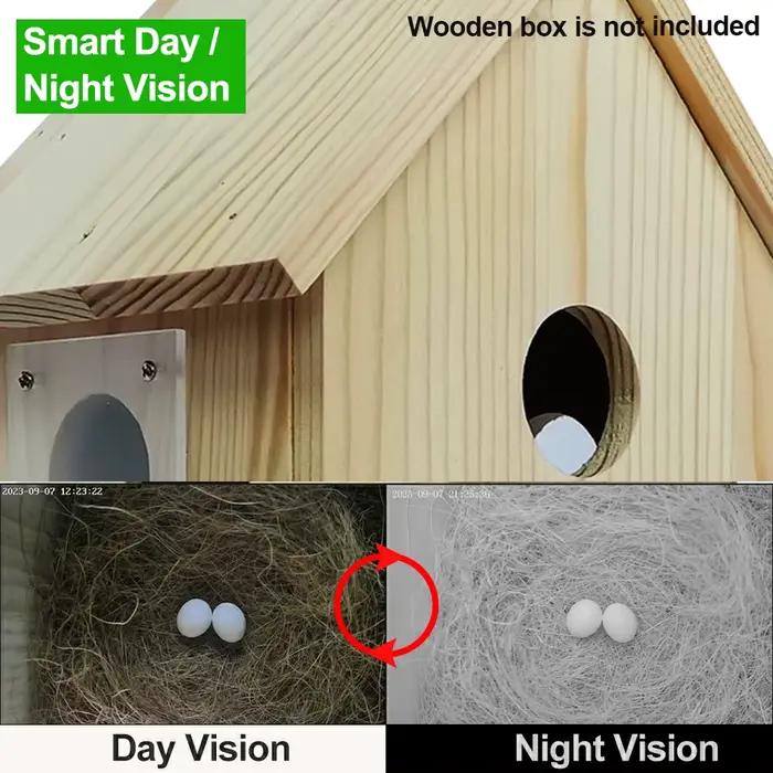 Caméra WiFi HD Tuya Smart Life pour nichoir à oiseaux