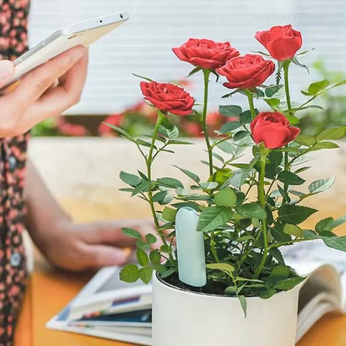 Moniteur numérique Mi Flora version internationale pour soins des plantes testeur intelligent de l'eau du sol et de l'éclairage capteur pour plantes de jardin occasions spéciales