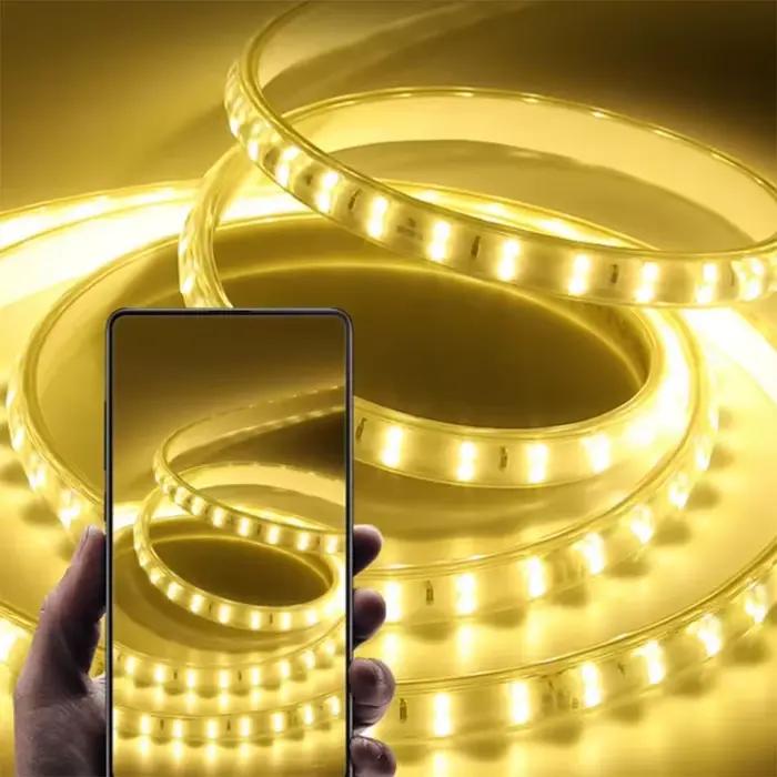 Bande lumineuse LED 220V haute performance pour éclairage d'intérieur salon cuisine escalier avec température de couleur ajustable et longue durée de vie