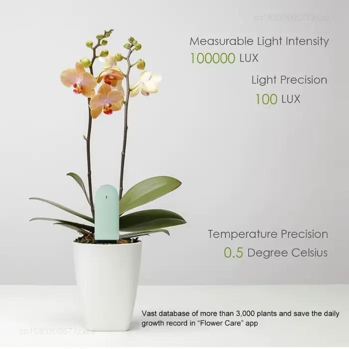 Moniteur numérique Mi Flora version internationale pour soins des plantes testeur intelligent de l'eau du sol et de l'éclairage capteur pour plantes de jardin occasions spéciales