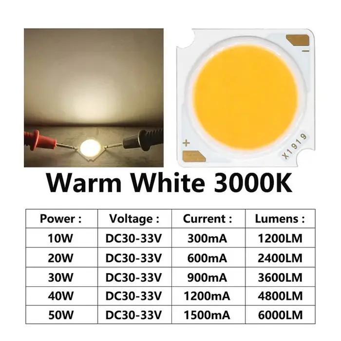 10 pièces 1919 10W 20W 30W 40W LED COB puce Diode électroluminescente importée Bridgelux